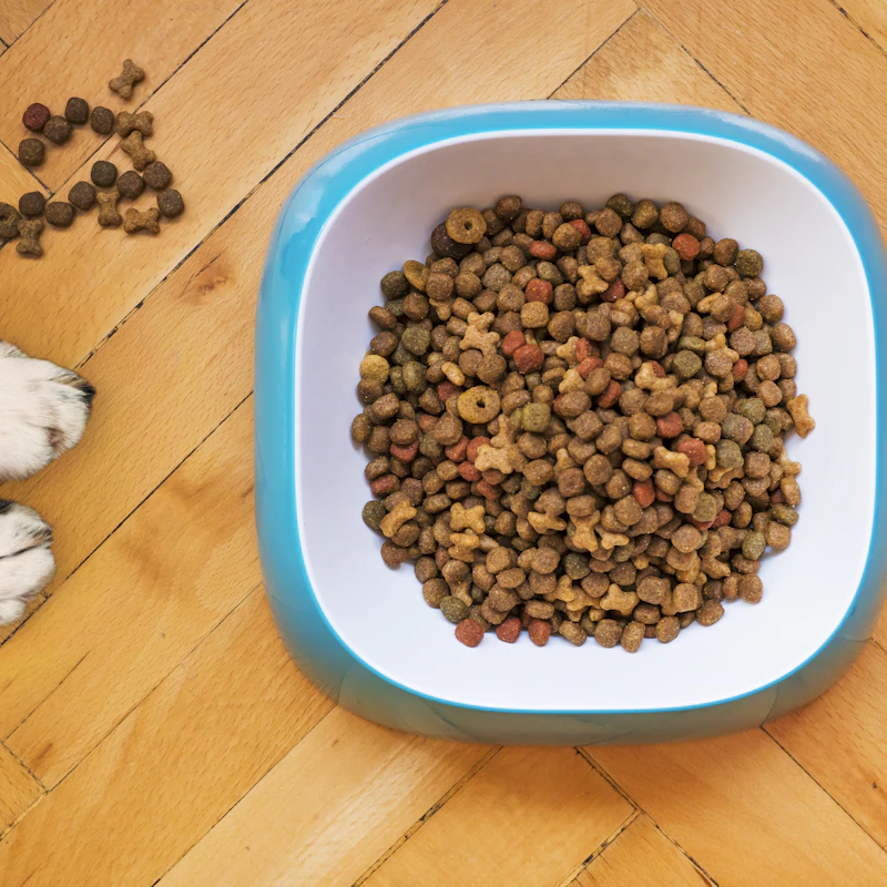 Natural Chicken Dog Treats 16 oz β Pet Supplies at Gallen Shop